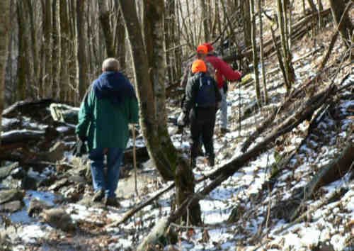 The trail down to High Falls is a bit slippery from snow and ice.