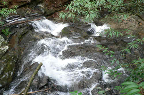 Martin Creek.