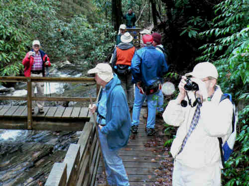 The viewing platform at Martin Creek Falls.