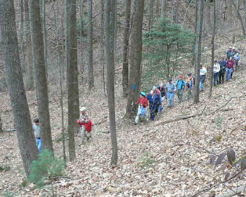 19 OFHC members headed for Anna Ruby Falls.