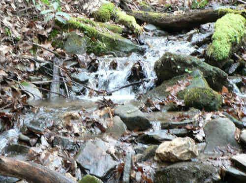 Nice trail with several small streams.