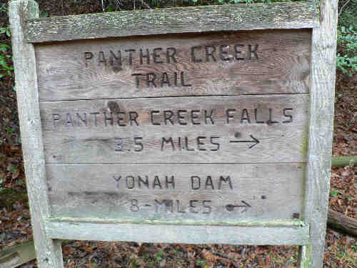 The Trail sign at the start.