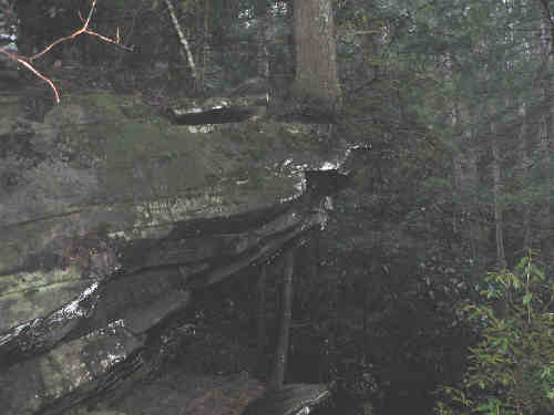 The trail brings you under this large rock outcropping with a large Hemlock tree growing on the tip of the rock ledge!
