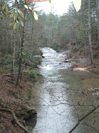 Nice view up Panther Creek.