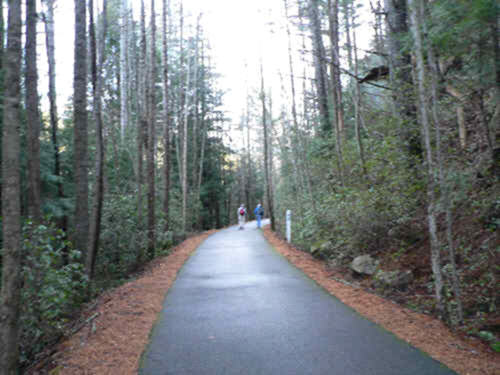 The Shortline Trail follows the old Tallulah Falls Railroad bed.