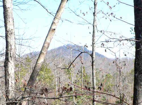 Looking over to Currahee from the Leatherwood Creek trail.