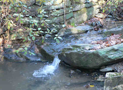 A beautiful little spot along the trail.