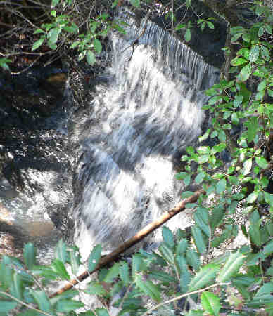 Another nice little waterfall!