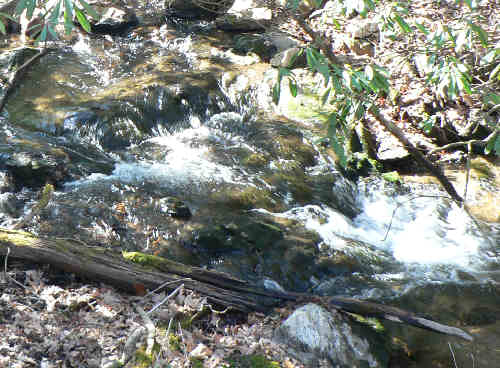 Typical creek in the N.GA mountains. (Near Gooch Mountain)