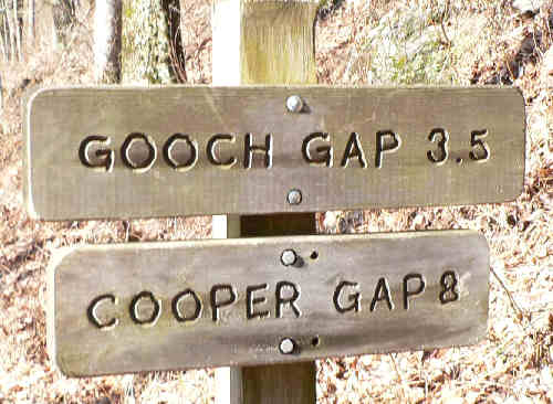 Today, we hiked to Gooch Gap and back.