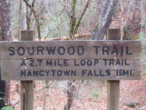 The second trail for the day.