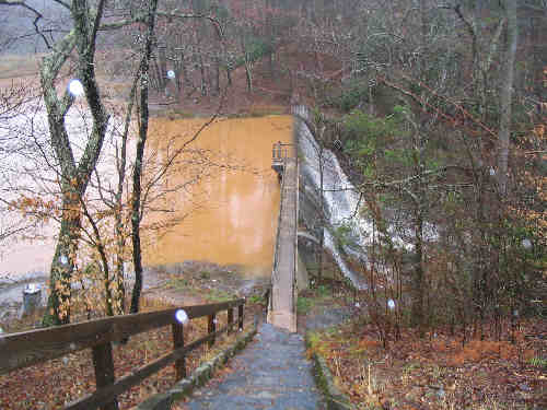 Here, at Nancytown Dam, you can see how muddy the water is after last night's heavy rain!