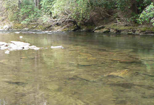 The water was absolutely crystal clear!