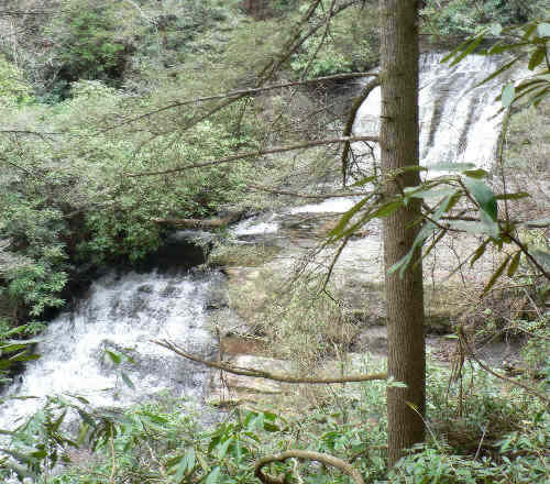 We pass the first set of falls on Lick Log Creek.