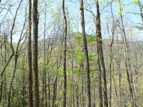 Another great day for a hike!