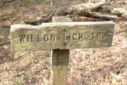 We took the side trip down to Wilson Lick Ranger Station.