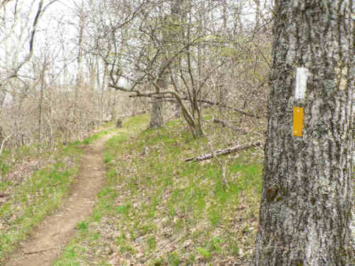 Trail blazes for the A.T. and Bartram Trail.