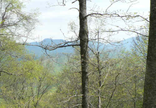 Nice mountain views along the way!