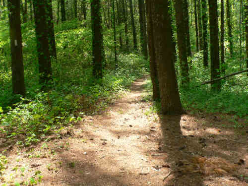 Cowart Gap