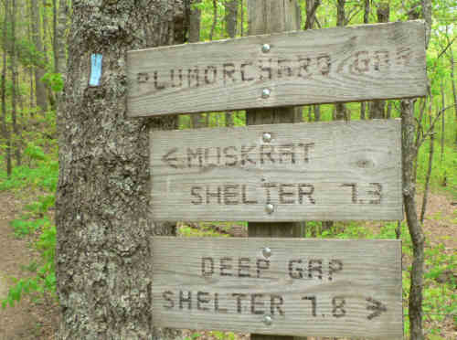 Trail signs at Plumorchard Gap.