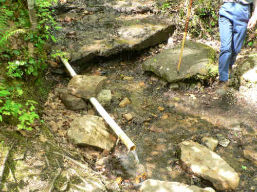 The spring at the Plumorchard Gap Shelter.