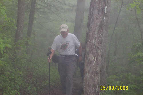As you can see, the fog was heavy this morning.