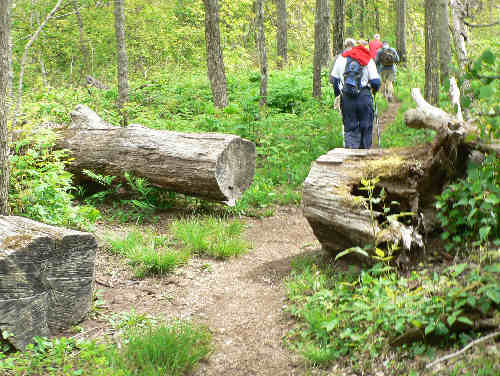 The trail is well-maintained.