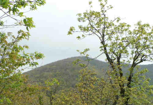 Here, we can see Tray Mountain -- our lunchtime destination!