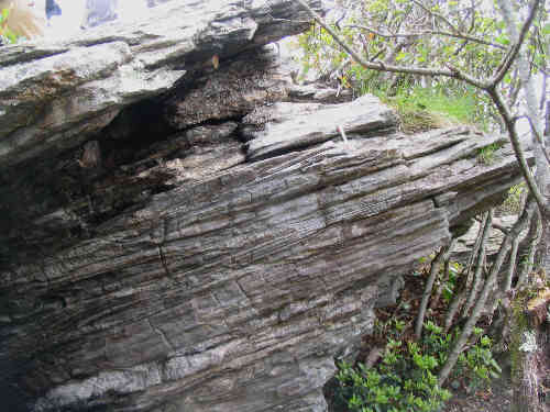 Typical rock ledge of biotite gneiss on Tray Mountain.