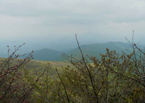 View 1 from a cloudy Tray Mountain.
