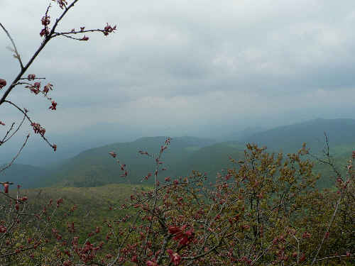 View 2 from Tray.