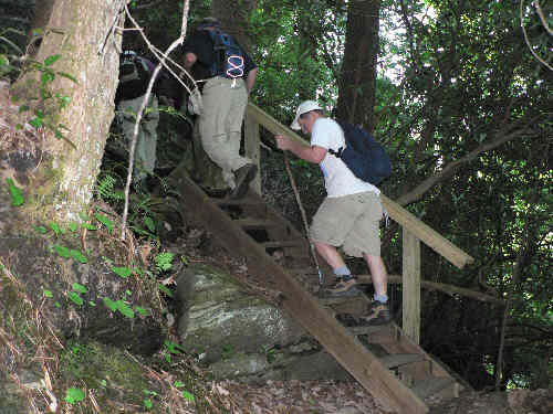 There are several sets of wooden steps for steep places.