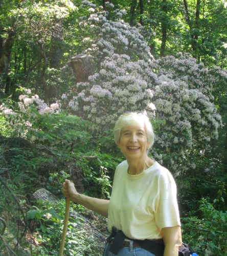 The mountain laurel were in full bloom!