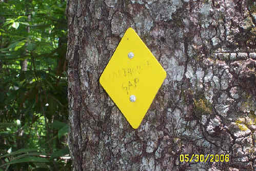 The marker at Courthouse Gap.