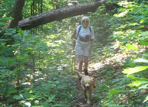 "Nuggett" leads Geri on the way to Windy Gap.