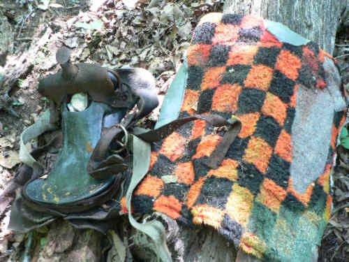 The most unusual item of the day! An old saddle and horse blanket in the middle of nowhere on the side of the trail.