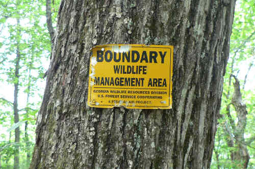 Evidently, the Bartram Trail marks the boundary of the Wildlife Managment Area. We saw many of these signs along the way.