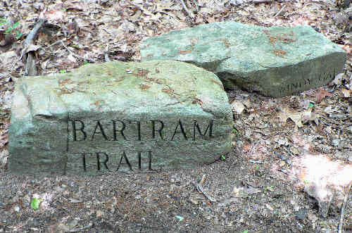 The engraved rocks at Windy Gap.