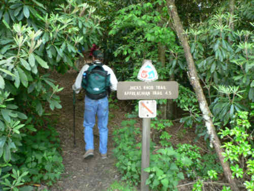 Headed back down the Jack's Knob Trail.