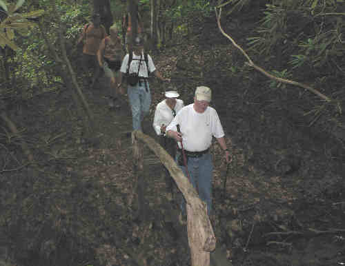 Crossing one of the foot-bridges.