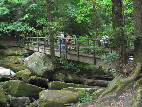 The Thompson River Bridge.