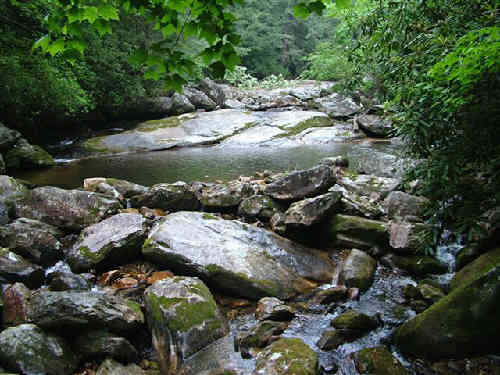 The Thompson River. (again very low water)