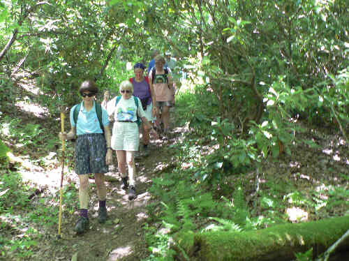 At this elevation, the temperatures are very comfortable and there is a nice canopy of shade.