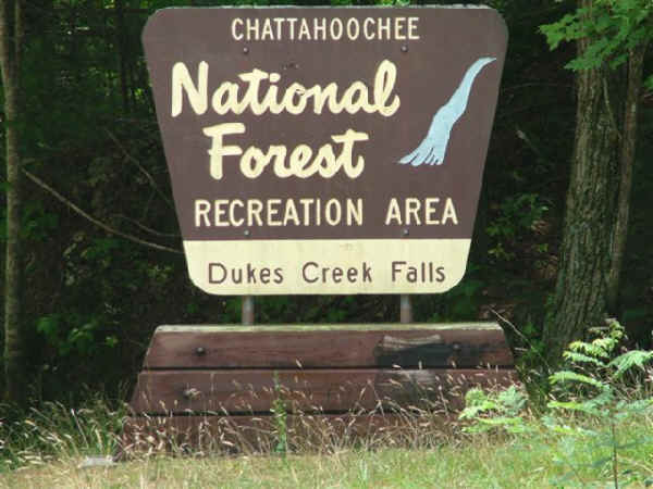 After finishing the Raven Cliffs hike, we drive back up the road a mile or two to Dukes Creek Falls.