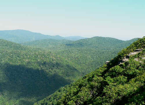 Another Pickens Nose view.