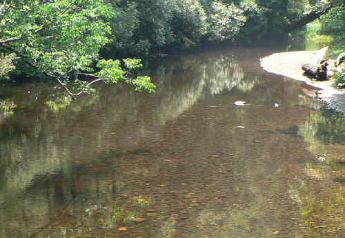 The peaceful creek near the start.