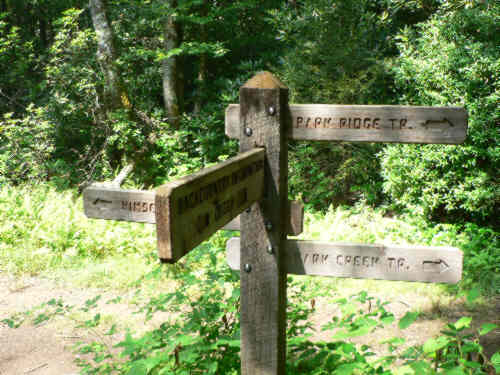 Nice trail junction signs.