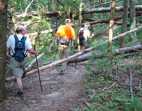 There were some blow-downs early into the hike.