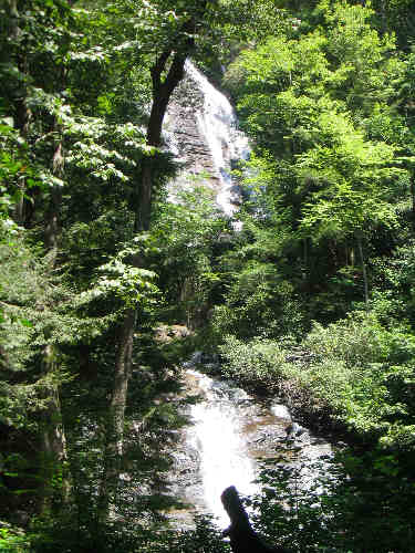 Anna Ruby Falls!