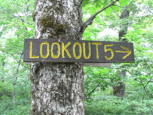 Now, we are on the Chinquapin Mountain Trail. There are 5 marked lookoffs.